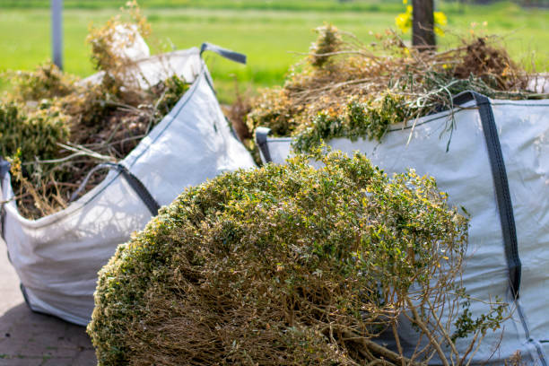 Best Garage Cleanout  in Capron, IL
